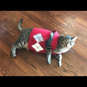 Meet your Posher, Lisa